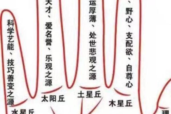 女人的右手断掌命运解析：了解你的手相独特之处