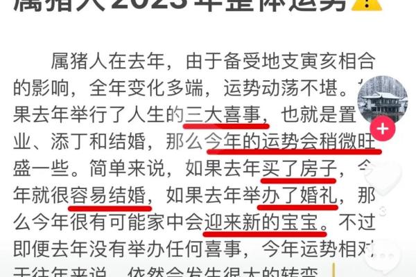 2023年命运大解析：你在这一年里的运势如何？