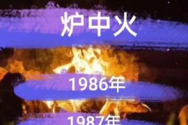 分析86属虎火命忌讳及适合的命理搭配