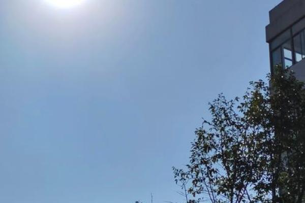 温暖心灵的力量：毛衣背后的故事与感动