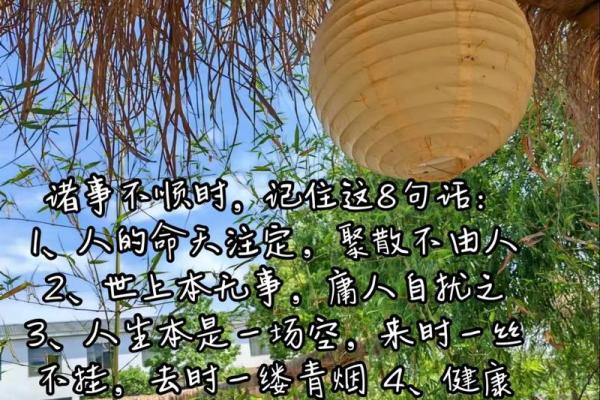 一命三命：探寻命运与人生的深邃哲理