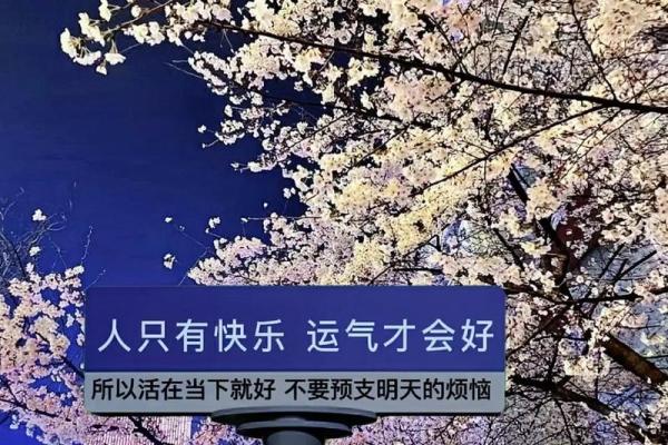 喝命何必多言，享受当下才是王道