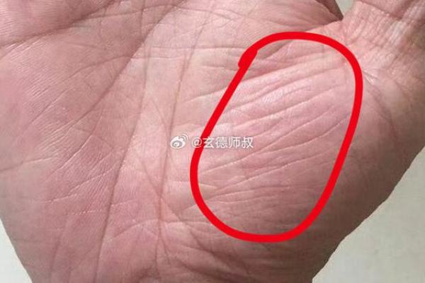 命里注定无财运，如何逆袭人生的财富之路？