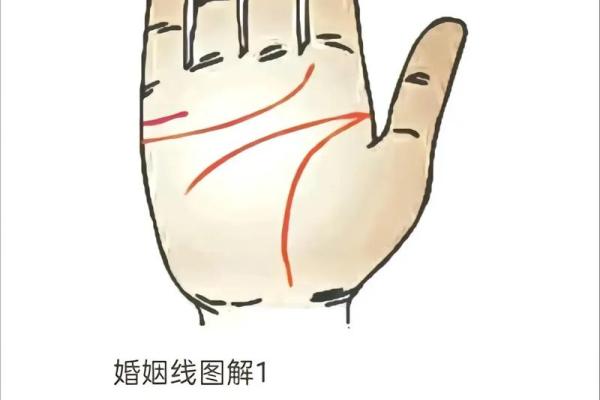 命理智慧：探索人生的秘密与命运的轨迹