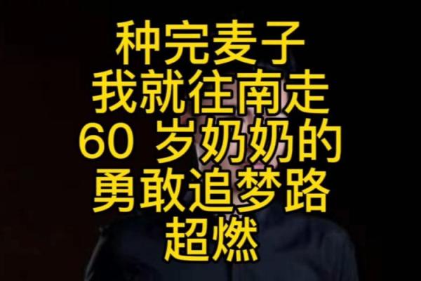 1996年鼠年命运解读：勇敢追梦，创造辉煌人生