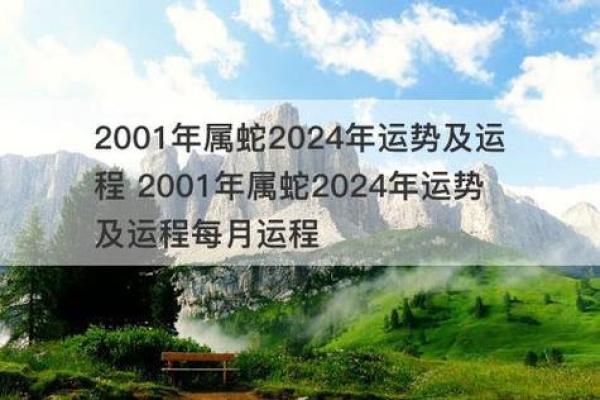 属什么男人什么命，运势与性格的奇妙关联
