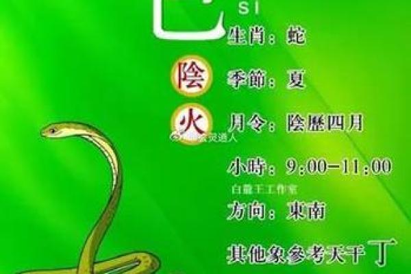 属什么男人什么命，运势与性格的奇妙关联