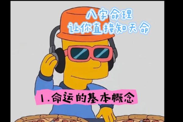 命理智慧：探索人生的秘密与命运的轨迹