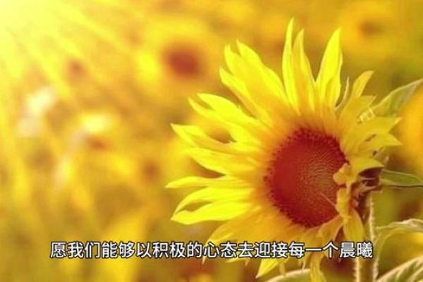 2020年本命年：命运的交汇点与人生的转折点