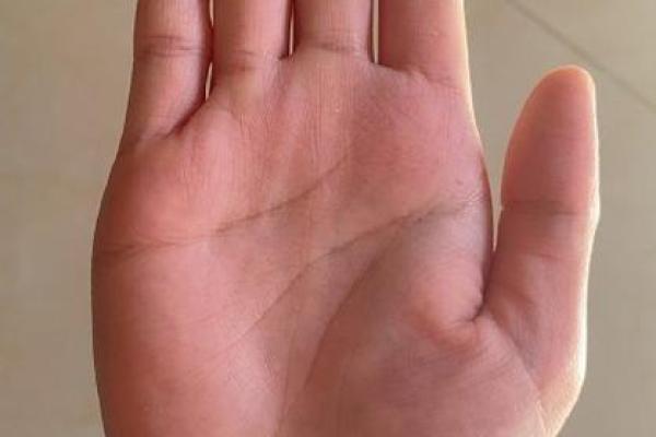 探索今日寅时命理：解读你的命运与未来