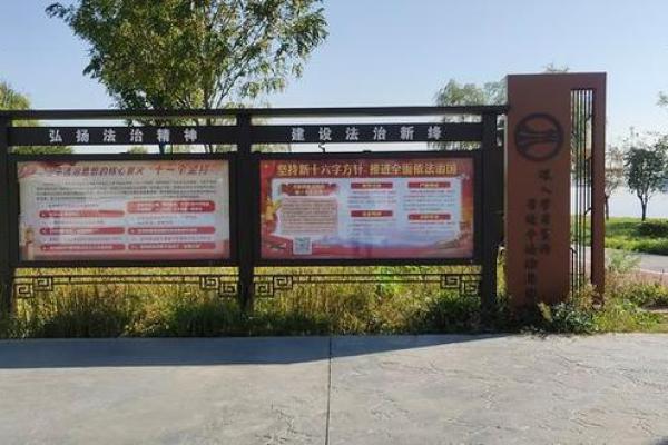 水龙命与青龙命的异同探究：命理中的神秘之旅