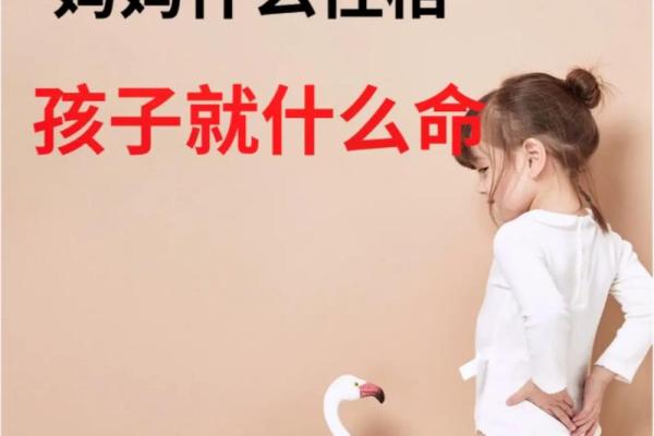 命语高贵命，探索命运的深邃哲学与生活智慧