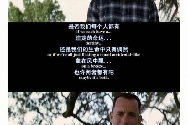 命运之数：解读出生于1998年8月28日的你