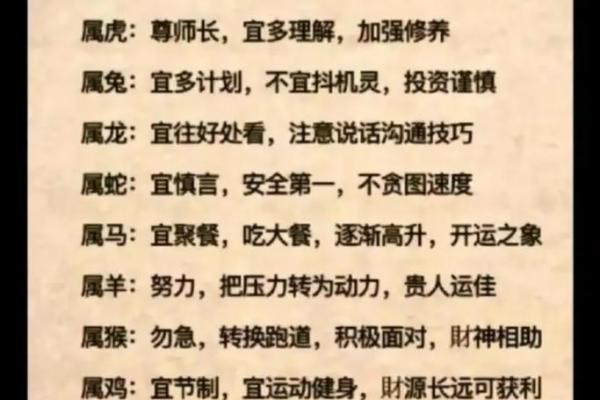 71岁属什么命？探讨2023年属羊人的命运与未来