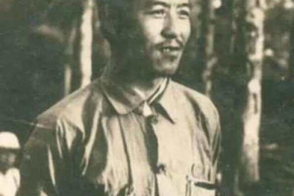1967年：命运的转折与新生的希望