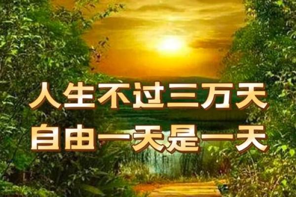 996年出生的人命运解析：智慧与财富的双重追求
