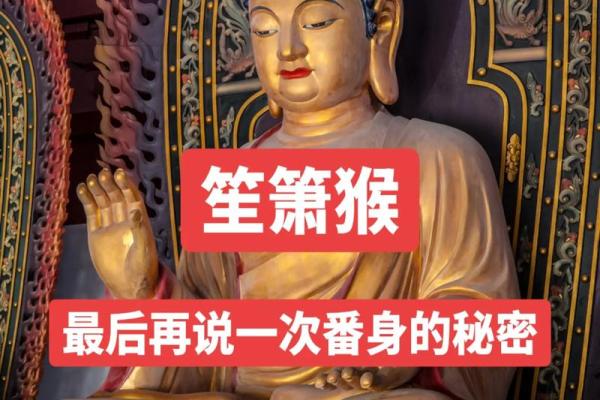 探寻八十年属猴人的命运与运势密码，揭示命中缺失的秘密