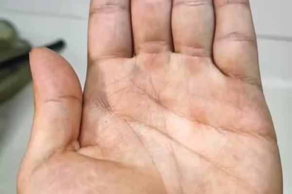 牛年羊吃草：探讨羊儿在命理中的秘密与启示
