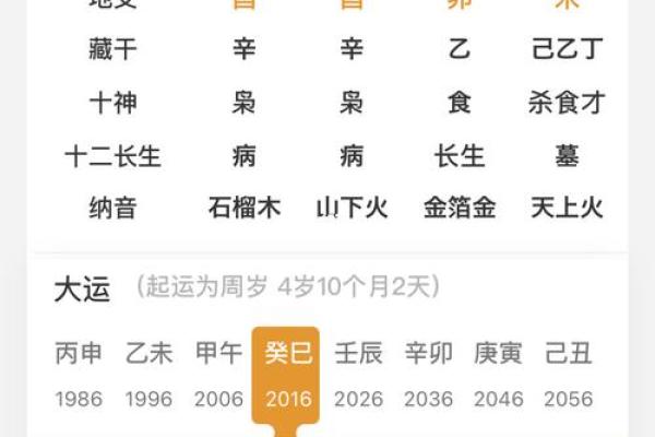 探索八字命理：除了水命和火命之外，还有哪些命格？