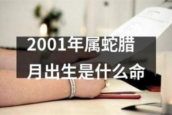 2013年生肖蛇的命运与人生启示：智慧与灵活的象征