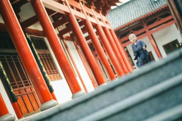 2019腊月出生的狗宝命运解析：福气与事业的双重考验