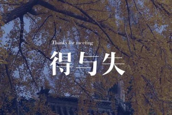 命运的旋律：1991年9月22日出生者的星辰解读与人生导航