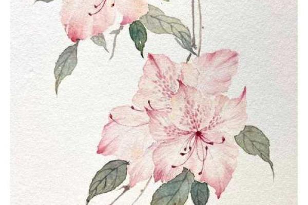 将军一命与灵命的深刻区别：探寻生命的真谛与价值