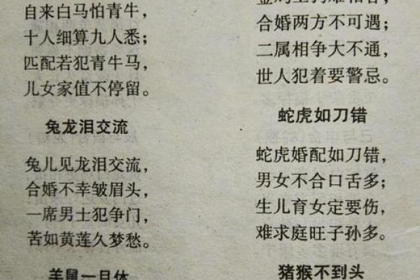 1739属相与命理解析：探索你的命运之路