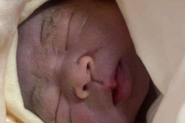 2005年出生的孩子,他们的命运与特质分析 2005年出生的孩子,他们的命运与特质分析