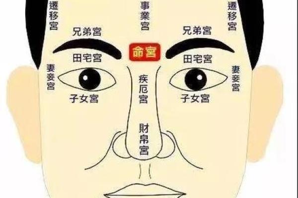 嘴巴鼻子大的命运解读：从面相看你的未来