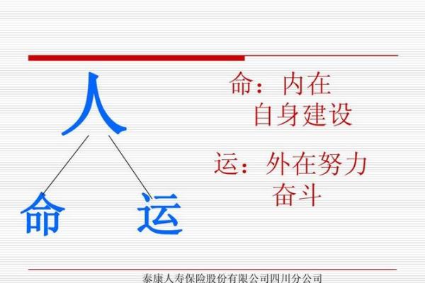 命运掌握在自己手中,揭秘成语背后的智慧与启示 命运掌握在自己手中,揭秘成语背后的智慧与启示