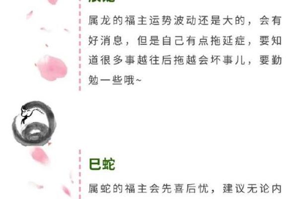 2020年鼠年的命运解析：揭开命运背后的神秘面纱