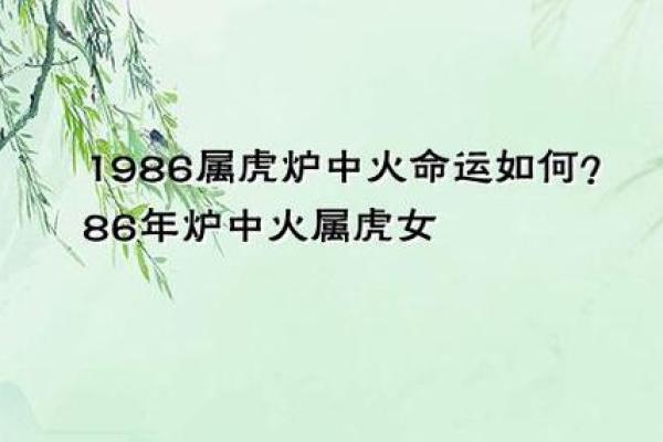 1963年出生的虎,命运与性格的完美结合! 1963年出生的虎,命运与性格的完美结合!
