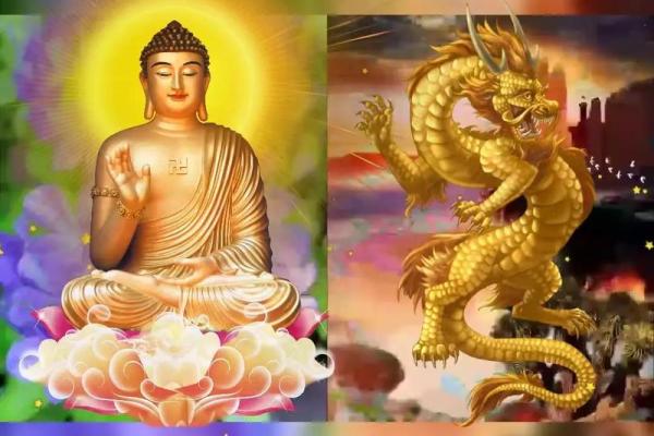 2000年属龙人的命运及运势解析：勇气与智慧的结合之旅