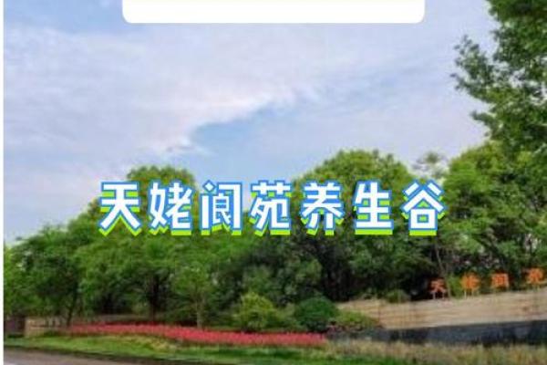 1847年:历史的转折与人性的探索之旅 1847年:历史的转折与人性的探索之旅