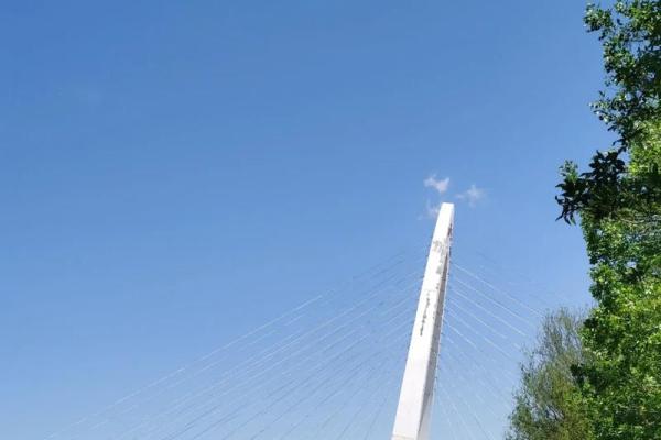 男木命与哪些命人合适：缘分与搭配的艺术之旅