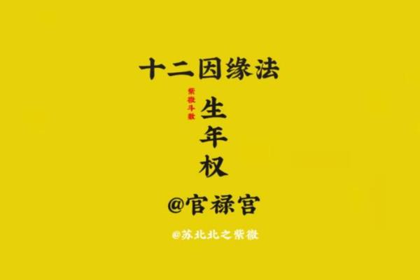 紫薇入命的奥秘：探讨女命的丰富内涵与命理智慧
