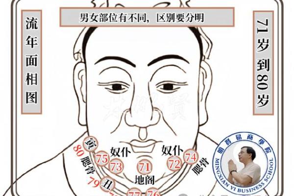 1972年出生者的命理解析：命运与性格的深度剖析