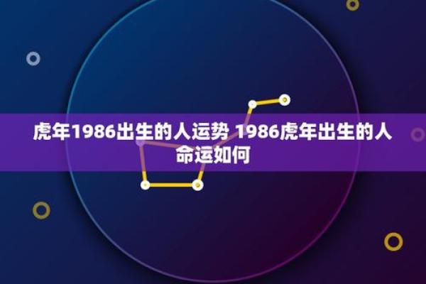 1988年出生的虎年命，命运与性格的探秘之旅