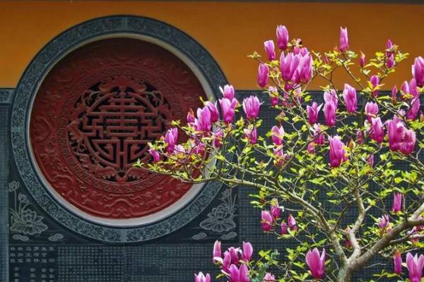 命由天定，出生决定性格：探寻生活中的命理奥秘