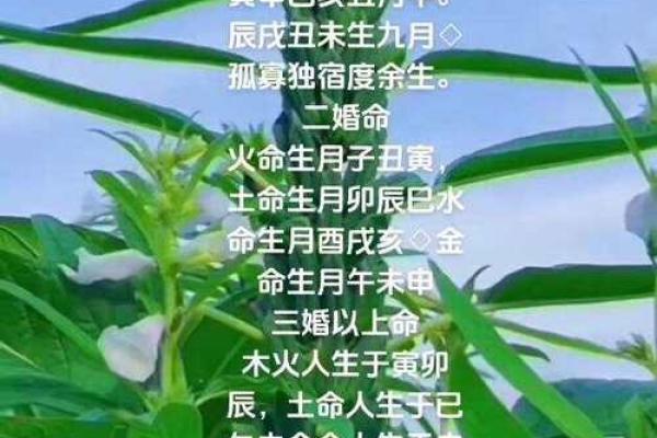 水命与火命同住：选择楼层的智慧与艺术