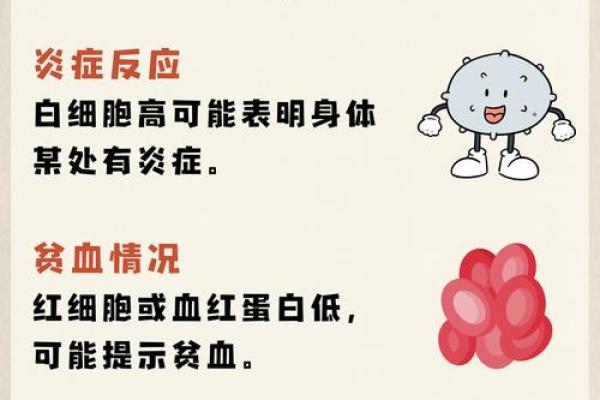 揭示女性命运之谜：不同命格的她们如何书写人生篇章