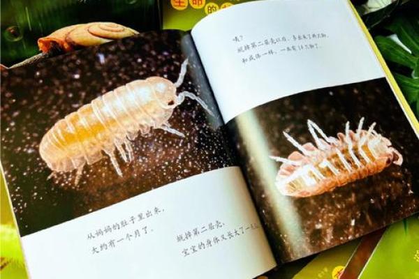 探秘七钱八命：命格奥秘与人生路径的连接