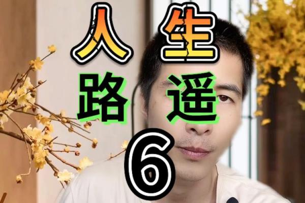猪人命理揭秘：1971年出生之人的人生轨迹与性格特征