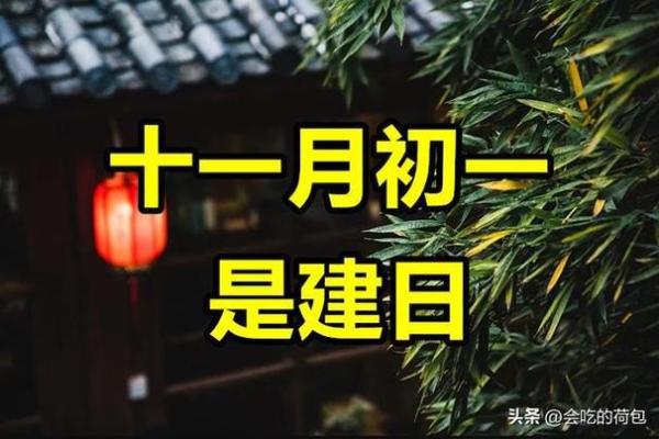 1996年冬月出生的人命运解析：他们的优势与挑战
