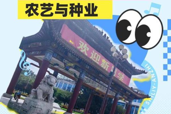 深入解析飞龙之命命格的深刻含义与应用
