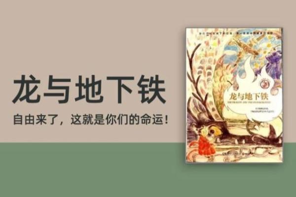 1998年龙命运：用智慧与勇气书写人生华章