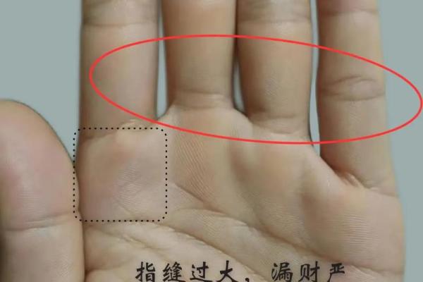什么是顺贤能之命？探寻智慧与命运的交汇点