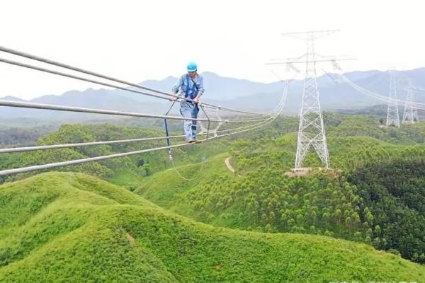 2004年属羊的人命运分析：生命之旅的转折与机遇