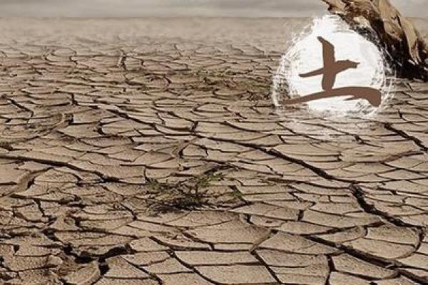 水命与土命的最佳搭配及其和谐之道